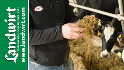 Wiederkäuergerechte Fütterung mit Garant