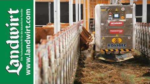 Rinderstall: Schauer Fütterungsroboter