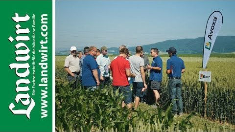 Syngenta Innovations-Feldtag in Witzendorf