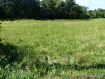 Suche Landwirtschaft oder Grund