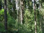 Realitäten Immobilien