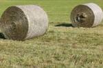 Ballen pressen: Heu, Stroh, Grassilage