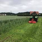 Kleinanzeigen Angebote