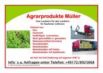 Kleinanzeigen Angebote