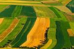Suche Landwirtschaft oder Grund