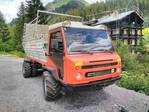 Transporter, Schlepper und Muli