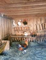 Hofladen - Ab-Hof-Verkauf direkt vom Bauern