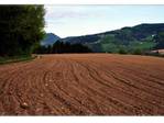 Suche Landwirtschaft oder Grund