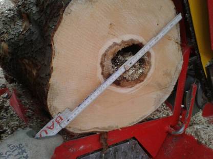 Bild 2:Feuerholz Aufbereitung mit Kegelspalter und Sägespalter