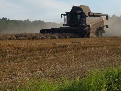 Bild 2:Lohnarbeiten gesucht