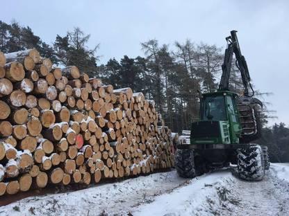 Bild 2:Forstarbeit, Holzschlägerung, Durchforstung, Harvester