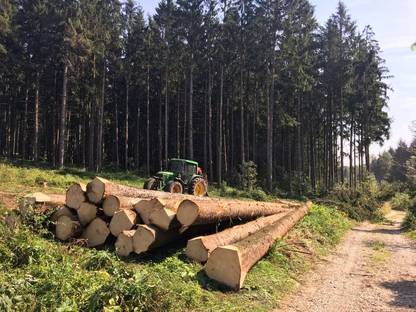 Bild 4:Forstarbeit, Holzschlägerung, Durchforstung, Harvester