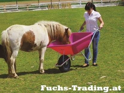 Sonstige Stalleinrichtung: NEU - 200 l Schubkarre, Scheibtruhe