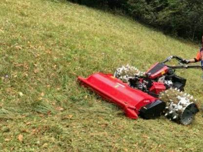 Bild 2:Mulch- & Mäharbeiten