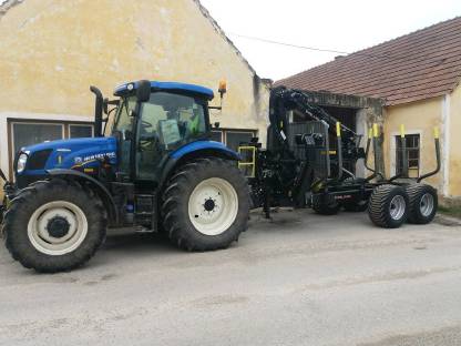 Bild 2:Forstarbeiten / Baumentfernungen