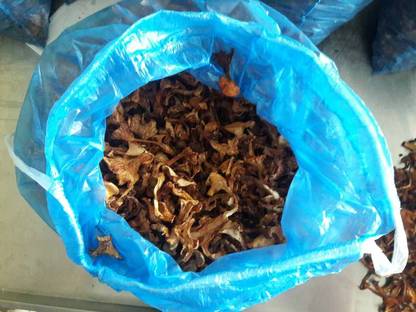 Bild 2:Getrocknete Pilze Pfifferlinge, Pilze zu verkaufen