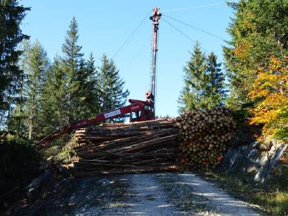Bild 3:Forstdienstleistung, Holzschlägerung, Landschaftspflege