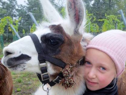 Tiergestützte Arbeit mit kleinen Wiederkäuern