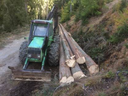 Bild 2:Forstarbeiten aller Art