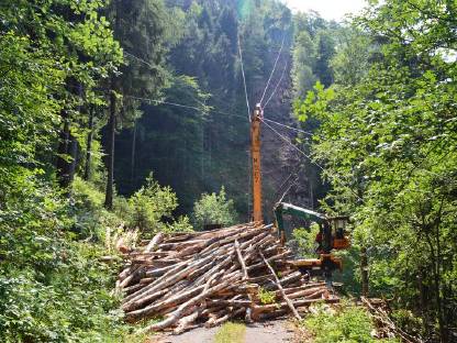 Bild 2:Forstdienstleistung, Holzschlägerung, Landschaftspflege