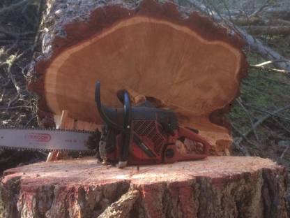 Bild 3:Forstarbeiten aller Art