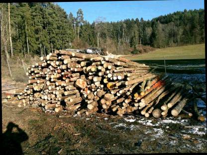 Bild 4:Holzschlägerung und -bringung