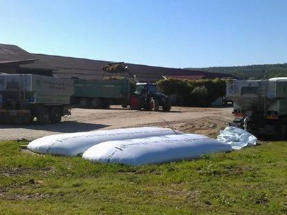 Bild 2:Biertreber von der Brauerei Puntigam