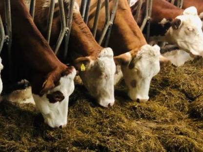 Bild 4:Praktikant Sommer 2026 - für Anfang Mai bis Ende Juni