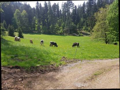 Bild 4:Rindfleisch auf Vorbestellung