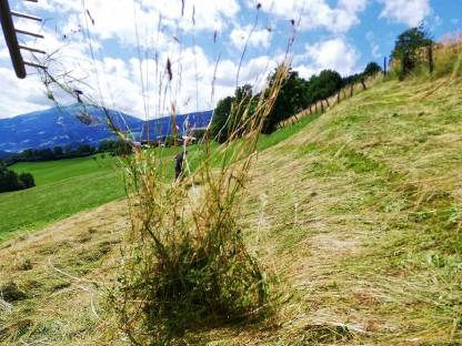 Bild 2:Praktikant Sommer 2026 - für Anfang Mai bis Ende Juni