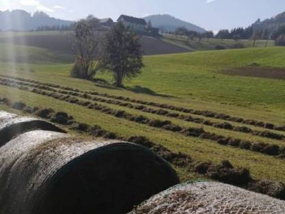 Suche Grünland und Ackerflächen zum Pachten
