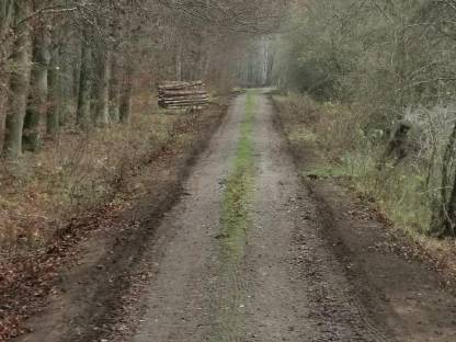 Bild 7:Land-und Forstwirtschaftlicher Wegebau