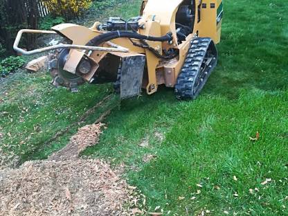 Bild 2:Wurzelstöcke fräsen