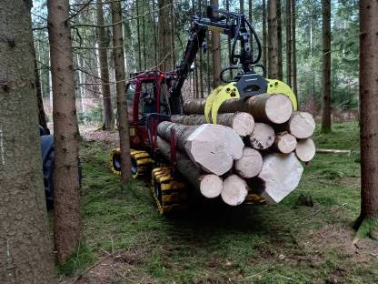 Bild 2:Forstdienstleistungen