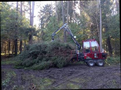 Bild 6:Forstdienstleistungen