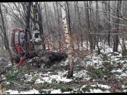 Bild 3:Forstdienstleistungen