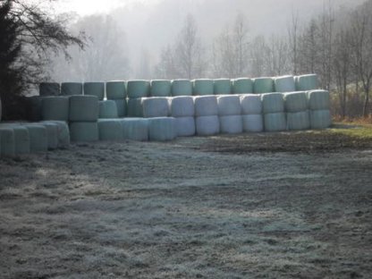 Bild 7:Silageballen, Heulage, Dauerwiese