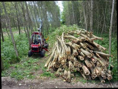 Bild 9:Forstdienstleistungen