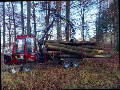 Bild 5:Forstdienstleistungen