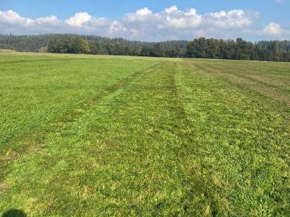 Bild 4:Biete Mulcharbeiten im Flachgau und angrenzendes OÖ