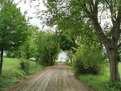 Bild 2:Land-und Forstwirtschaftlicher Wegebau