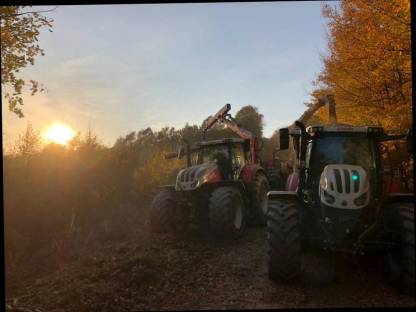 Bild 4:Erdarbeiten/Rodungsarbeiten