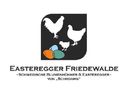 Bild 7:Olivleger (Silverudds Blå x Französische Marans) BE Bruteier