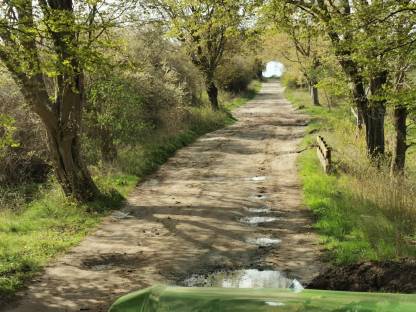 Bild 6:Land-und Forstwirtschaftlicher Wegebau