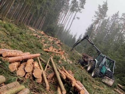 Bild 2:Holzschlägerung & Bringung