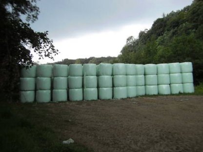 Bild 3:Silageballen, Heulage, Dauerwiese