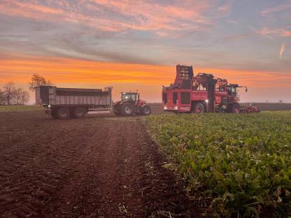 Bild 3:Transporte mit Fliegl Abschiebewagen