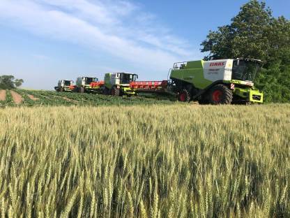 Bild 3:Transporte-Lohndrusch-Lohnarbeiten-Agrar