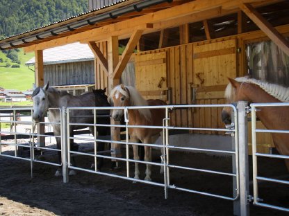 Bild 4:Praktikumsstelle September/Oktober 2025 zu vergeben