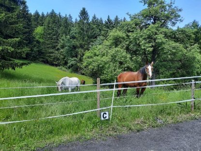 Einstellplatz in GU Nord